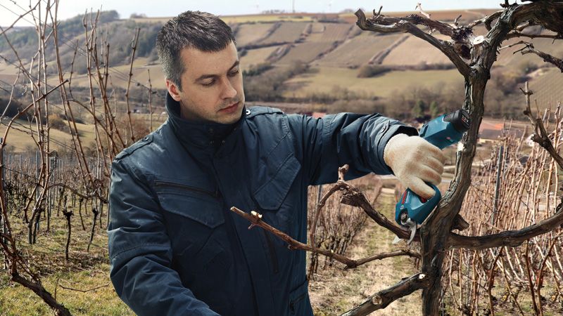 Cordless garden pruner best sale for trees and shrubs